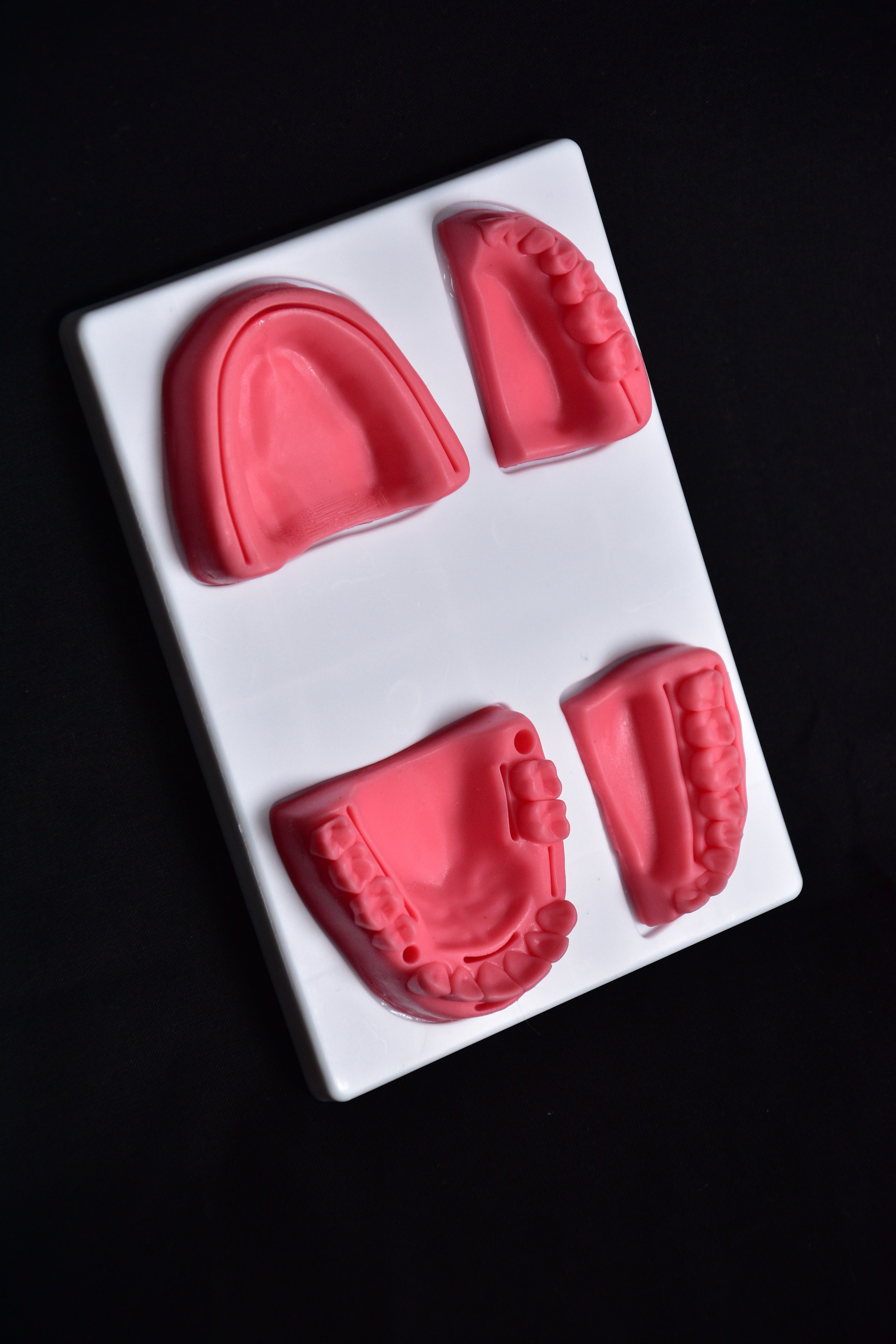 Kit de Suture Complet ( Instruments + Peau Artificielle)