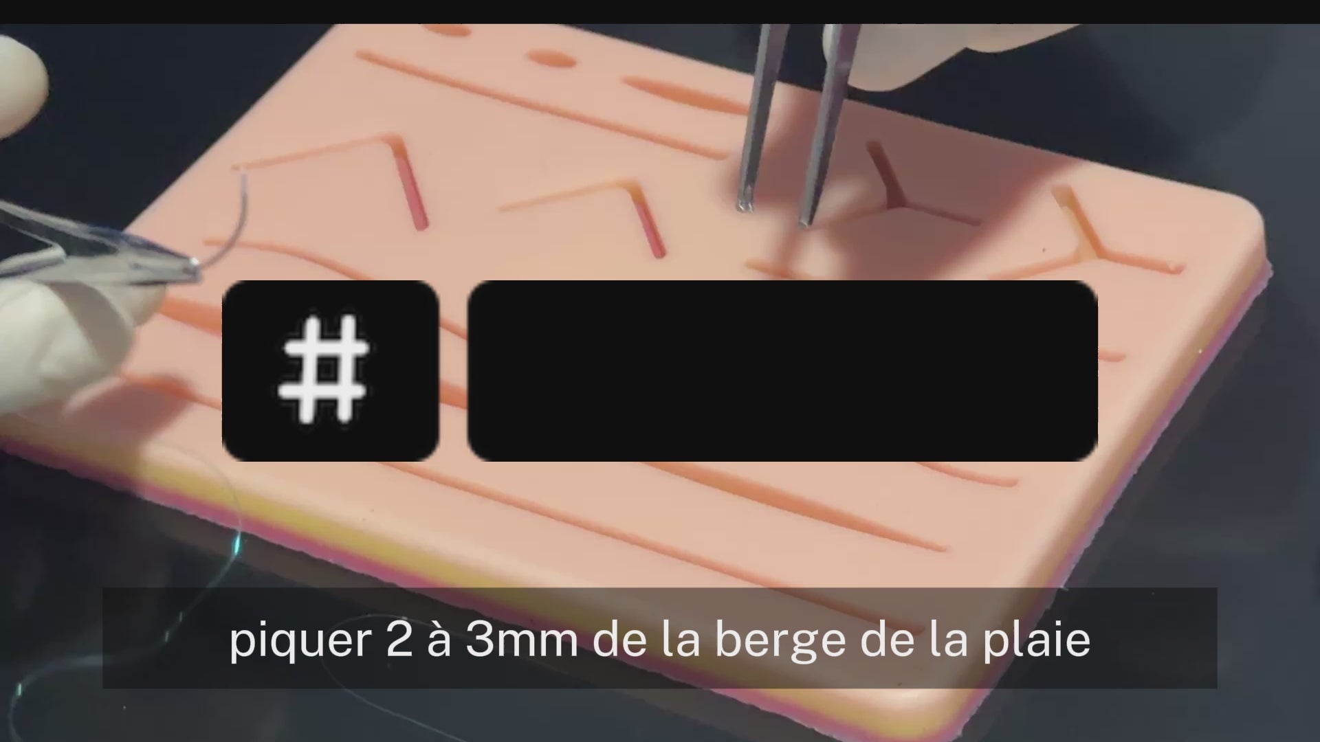 Charger la vidéo : 